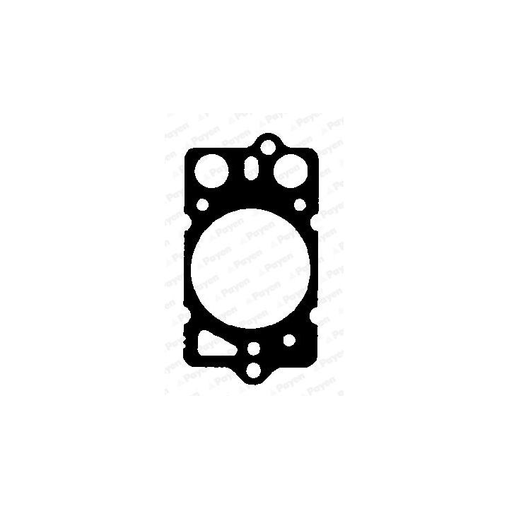 Tarpiklis, cilindro galva PAYEN BK580