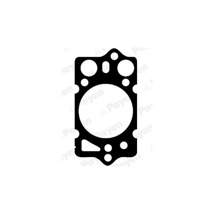 Tarpiklis, cilindro galva PAYEN BP260