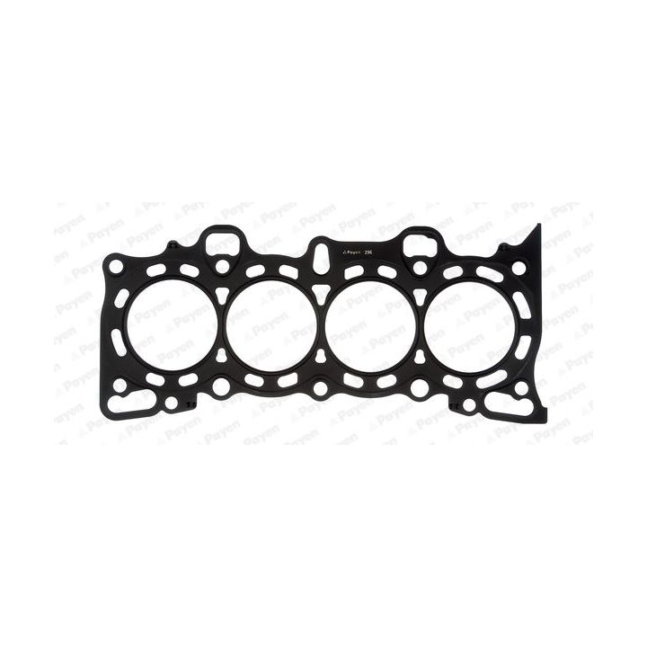 Tarpiklis, cilindro galva PAYEN BV020