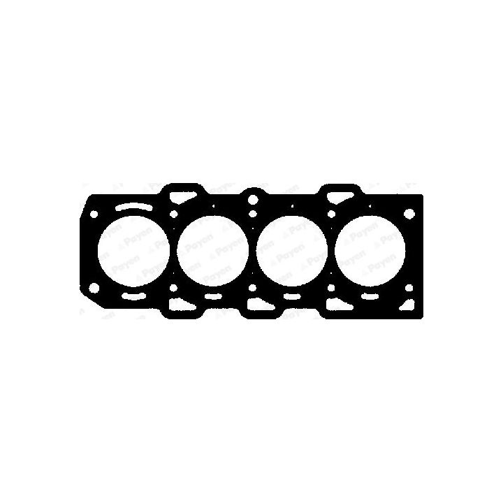 Tarpiklis, cilindro galva PAYEN BW720