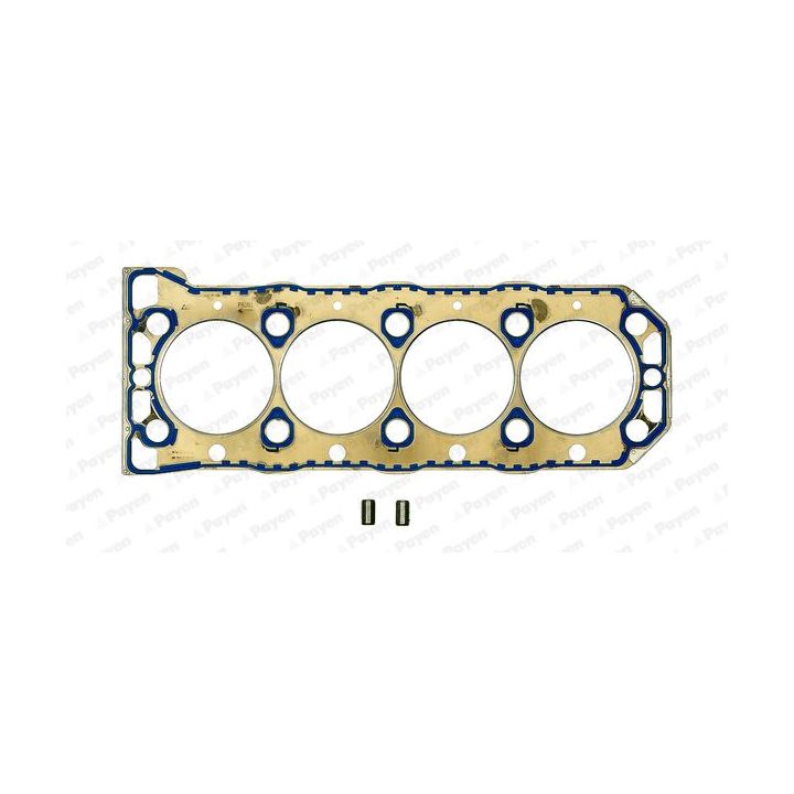 Tarpiklis, cilindro galva PAYEN BW750