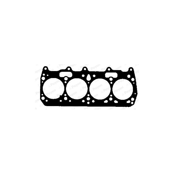 Tarpiklis, cilindro galva PAYEN BW980