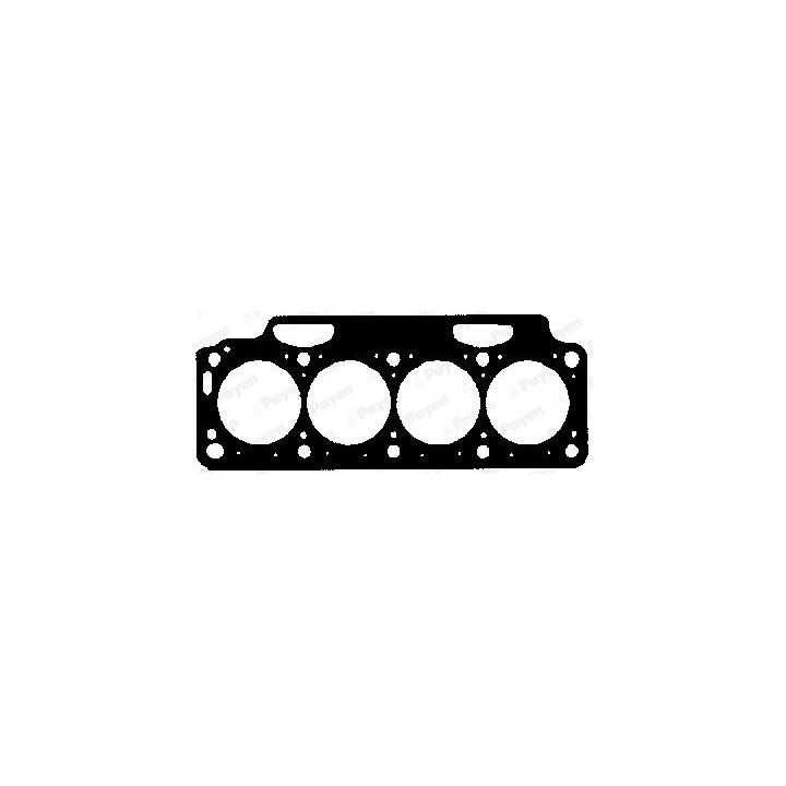 Tarpiklis, cilindro galva PAYEN BX601