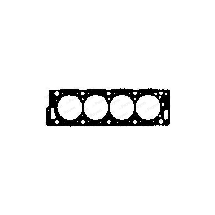 Tarpiklis, cilindro galva PAYEN BY310