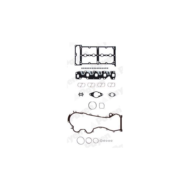 Tarpiklių komplektas, cilindro galva PAYEN CD5801