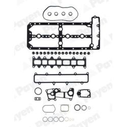 Tarpiklių komplektas, cilindro galva PAYEN CG7300