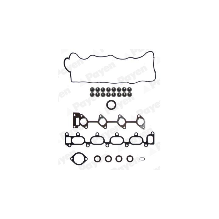 Tarpiklių komplektas, cilindro galva PAYEN CG7920