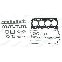 Tarpiklių komplektas, cilindro galva PAYEN CG9910