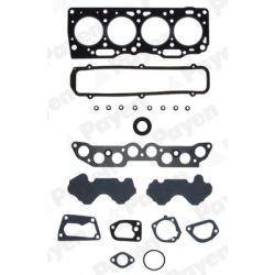 Tarpiklių komplektas, cilindro galva PAYEN DR620