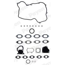 Tarpiklių komplektas, cilindro galva PAYEN DX392