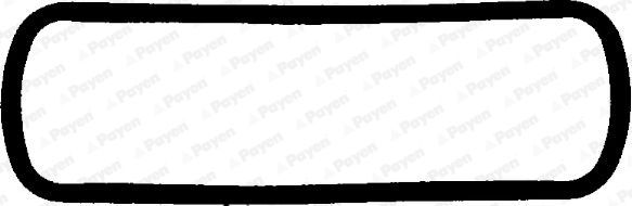 Tarpiklis, svirties dangtis PAYEN JM302