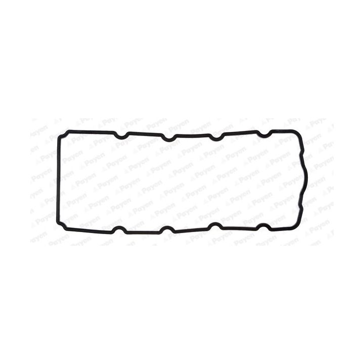 Tarpiklis, svirties dangtis PAYEN JM5119