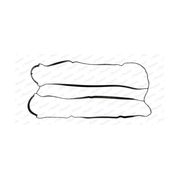 Tarpiklis, svirties dangtis PAYEN JM5155