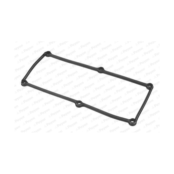 Tarpiklis, svirties dangtis PAYEN JM5305