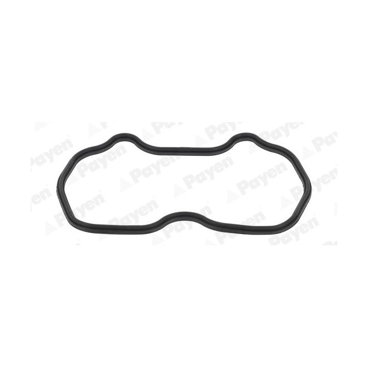 Tarpiklis, svirties dangtis PAYEN JM7162