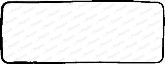 Tarpiklis, svirties dangtis PAYEN JN292