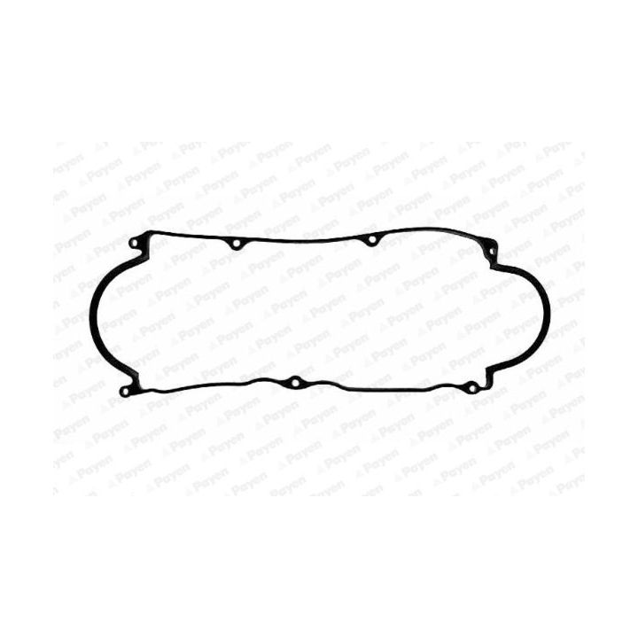 Tarpiklis, svirties dangtis PAYEN JN533