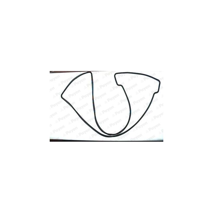 Tarpiklis, svirties dangtis PAYEN JN539