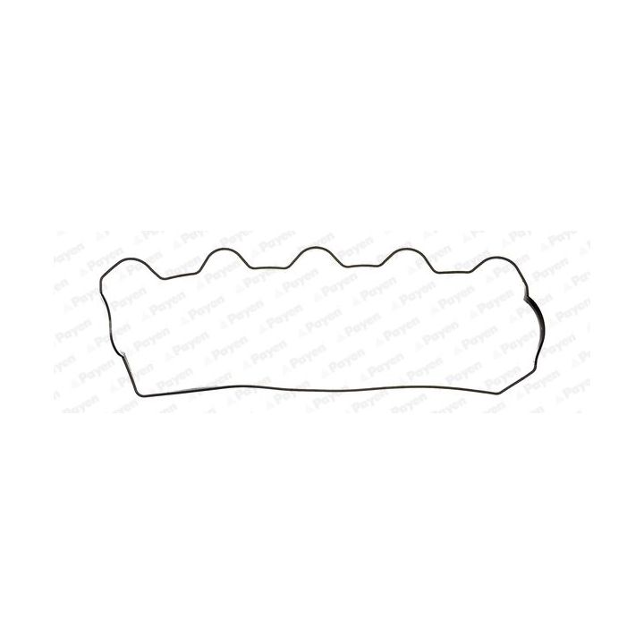 Tarpiklis, svirties dangtis PAYEN JP006