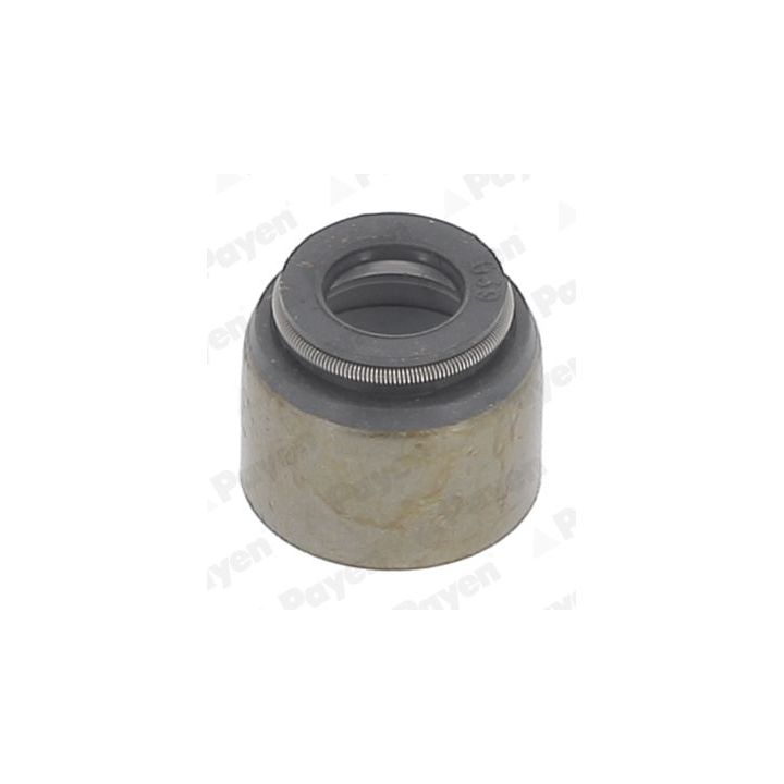 Tarpiklis, vožtuvo šerdis PAYEN KJ211