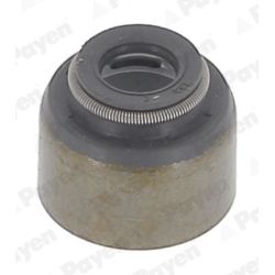 Tarpiklis, vožtuvo šerdis PAYEN KJ570