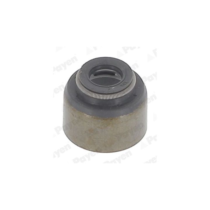 Tarpiklis, vožtuvo šerdis PAYEN KJ570