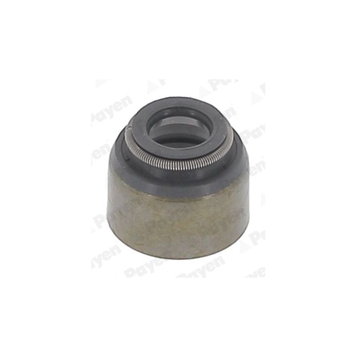 Tarpiklis, vožtuvo šerdis PAYEN PA079