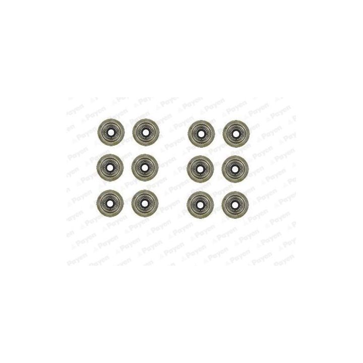 Tarpiklių komplektas, vožtuvo šerdis PAYEN HR5031