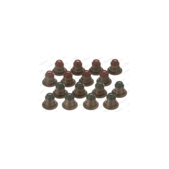 Tarpiklių komplektas, vožtuvo šerdis PAYEN HR5033