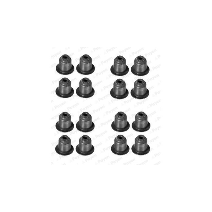 Tarpiklių komplektas, vožtuvo šerdis PAYEN HR5045