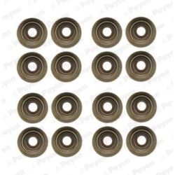 Tarpiklių komplektas, vožtuvo šerdis PAYEN HR5046