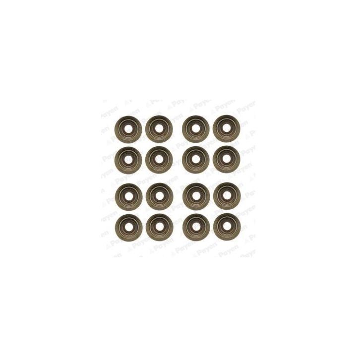 Tarpiklių komplektas, vožtuvo šerdis PAYEN HR5046