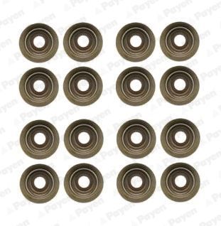 Tarpiklių komplektas, vožtuvo šerdis PAYEN HR5046