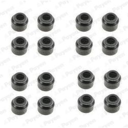 Tarpiklių komplektas, vožtuvo šerdis PAYEN HR5048