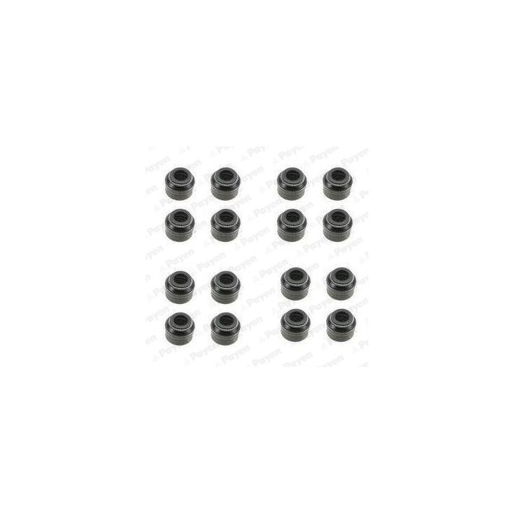 Tarpiklių komplektas, vožtuvo šerdis PAYEN HR5048