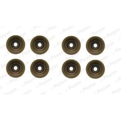 Tarpiklių komplektas, vožtuvo šerdis PAYEN HR5051