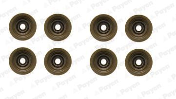 Tarpiklių komplektas, vožtuvo šerdis PAYEN HR5051