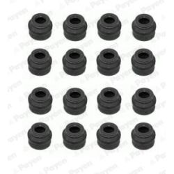 Tarpiklių komplektas, vožtuvo šerdis PAYEN HR5060