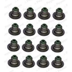 Tarpiklių komplektas, vožtuvo šerdis PAYEN HR5082