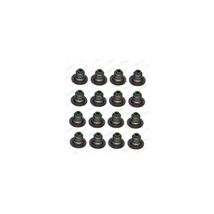 Tarpiklių komplektas, vožtuvo šerdis PAYEN HR5082