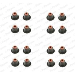 Tarpiklių komplektas, vožtuvo šerdis PAYEN HR5086