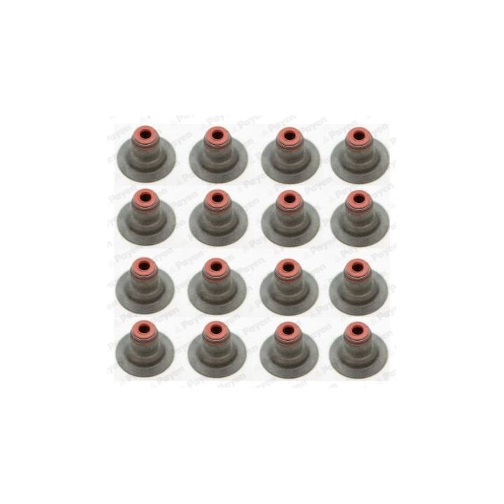 Tarpiklių komplektas, vožtuvo šerdis PAYEN HR5087