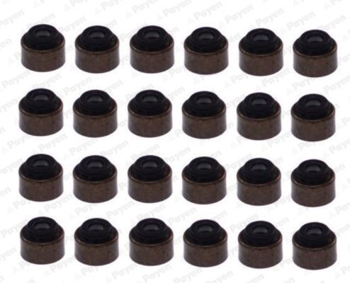 Tarpiklių komplektas, vožtuvo šerdis PAYEN HR5094