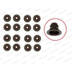 Tarpiklių komplektas, vožtuvo šerdis PAYEN HR5095