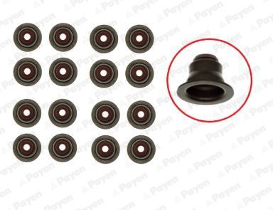 Tarpiklių komplektas, vožtuvo šerdis PAYEN HR5095