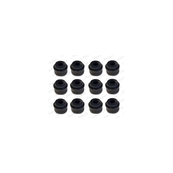 Tarpiklių komplektas, vožtuvo šerdis PAYEN HR5096