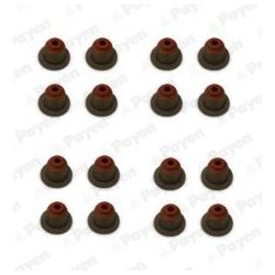 Tarpiklių komplektas, vožtuvo šerdis PAYEN HR5110