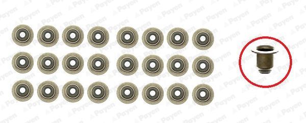 Tarpiklių komplektas, vožtuvo šerdis PAYEN HR5111