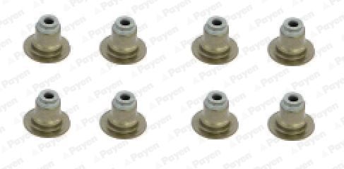 Tarpiklių komplektas, vožtuvo šerdis PAYEN HR5120