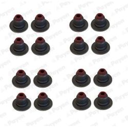 Tarpiklių komplektas, vožtuvo šerdis PAYEN HR5126